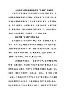 2025年深入学习教育“回头看”自查报告【7篇】
