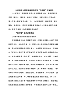 2025年深入学习教育“回头看”自查报告（共7篇选择）