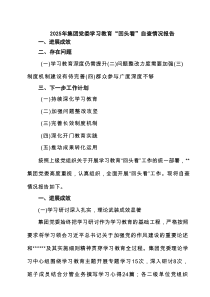 2025年集团党委学习教育“回头看”自查情况报告精选（7篇）