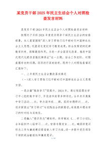 某党员干部2025年民主生活会个人对照检查发言材料