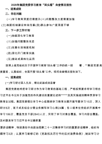 2025年集团党委学习教育“回头看”自查情况报告（4篇）