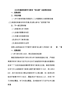 2025年集团党委学习教育“回头看”自查情况报告（共6篇）