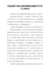 纪检监察干部队伍教育整顿检视整治环节学习心得体会