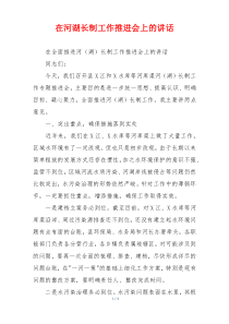 在河湖长制工作推进会上的讲话