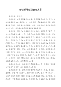 讲话发言新任领导就职表态发言