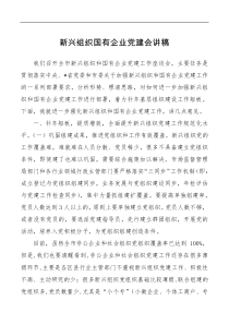讲话发言新兴组织国有企业党建会讲稿