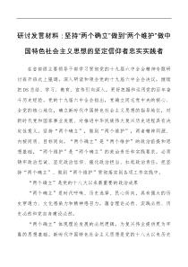 讲话发言研讨发言材料坚持两个确立做到两个维护做中国特色社会主义思想的坚定信仰者忠实实践者
