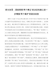 讲话发言研讨发言深刻领悟两个确立的决定性意义进一步增强两个维护的政治自觉