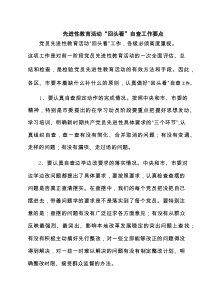 先进性教育活动“回头看”自查工作要点 四篇精选