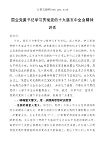 讲话国企党委书记学习贯彻党的十九届五中全会精神讲话