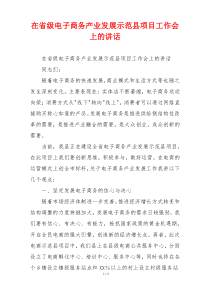 在省级电子商务产业发展示范县项目工作会上的讲话
