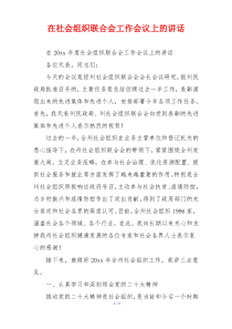 在社会组织联合会工作会议上的讲话