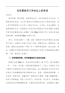 讲话在区委经济工作会议上的讲话