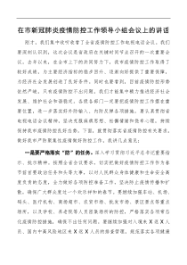 讲话在市新冠肺炎疫情防控工作领导小组会议上的讲话