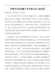 讲话市委书记在民盟X市代表大会上的讲话