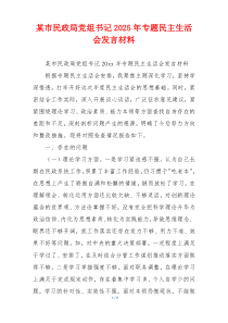 某市民政局党组书记2025年专题民主生活会发言材料