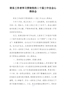 财务工作者学习贯彻党的二十届三中全会心得体会