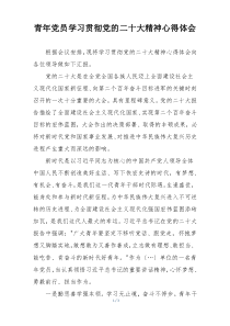 青年党员学习贯彻党的二十大精神心得体会