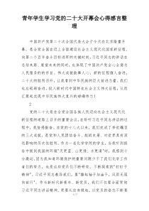 青年学生学习党的二十大开幕会心得感言整理