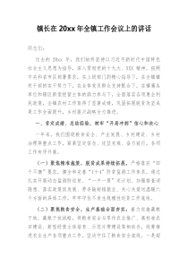 镇长在20XX年全镇工作会议上的讲话