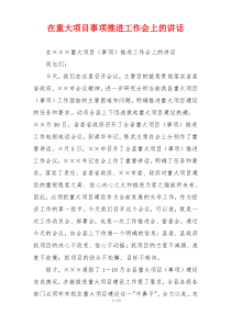 在重大项目事项推进工作会上的讲话