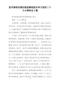 驻市委政法委纪检监察组组长学习党的二十大心得体会2篇