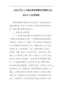 2025年乡人大副主席巡察整改专题民主生活会个人发言提纲