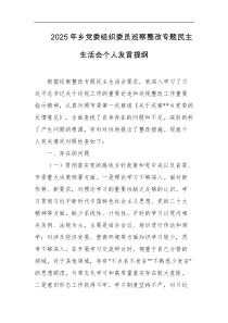 2025年乡党委组织委员巡察整改专题民主生活会个人发言提纲