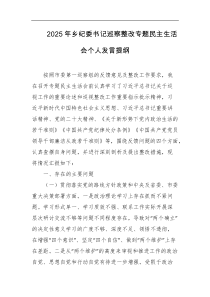 2025年乡纪委书记巡察整改专题民主生活会个人发言提纲