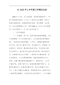 乡2025年上半年度工作情况总结