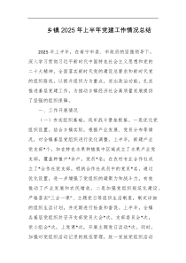 乡镇2025年上半年党建工作情况总结