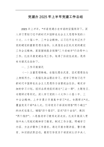 党建办2025年上半年党建工作总结