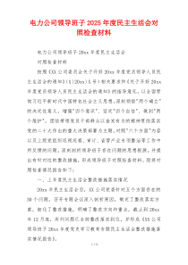 电力公司领导班子2025年度民主生活会对照检查材料