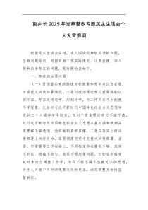 副乡长2025年巡察整改专题民主生活会个人发言提纲