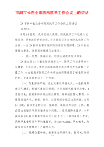 市副市长在全市防汛抗旱工作会议上的讲话