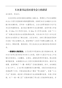 领导讲话X区委书记在区委全会上的讲话