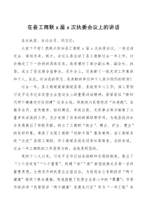 领导讲话x届x次执委会议上的讲话范文