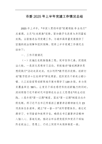 市委2025年上半年党建工作情况总结