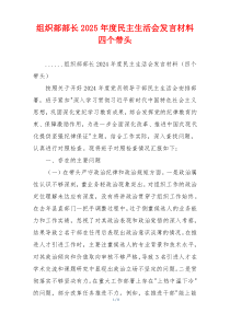 组织部部长2025年度民主生活会发言材料四个带头