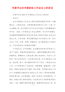 市委书记在市委政法工作会议上的讲话
