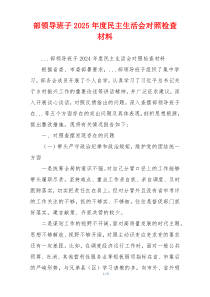 部领导班子2025年度民主生活会对照检查材料