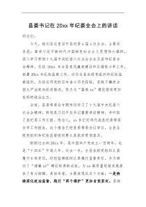 领导讲话县委书记在20XX年纪委全会上的讲话