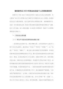 镇党委书记2024年民主生活会个人对照检查材料