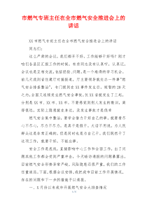 市燃气专班主任在全市燃气安全推进会上的讲话