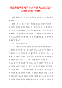 镇党委副书记关于2025年度民主生活会个人对照查摆剖析材料