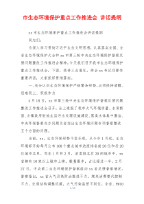 市生态环境保护重点工作推进会 讲话提纲