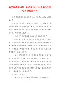 集团党委副书记、总经理2025年度民主生活会对照检查材料