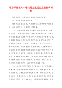 领导干部在六个带头民主生活会上的剖析材料