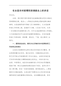 领导讲话在全县农村疫情防控调度会上的讲话范文工作会议