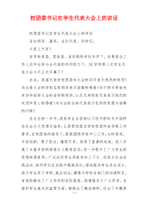校团委书记在学生代表大会上的讲话